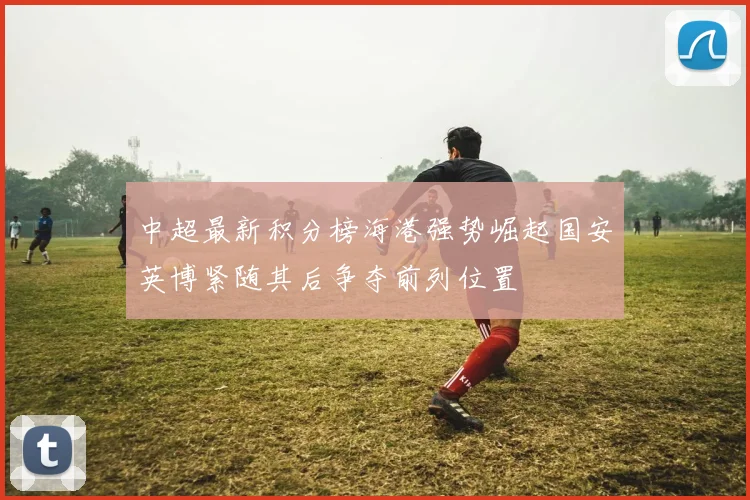 中超最新积分榜海港强势崛起国安英博紧随其后争夺前列位置