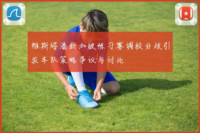 维斯塔潘新加坡练习赛调校分歧引发车队策略争议与讨论